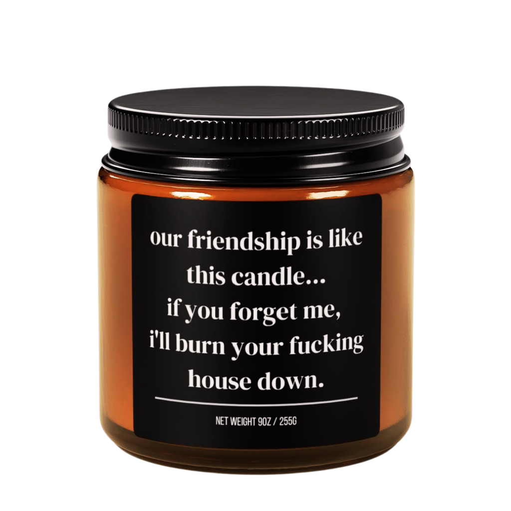 our friendship is like this candle...if you forget me, i’ll burn your fucking house down candle
